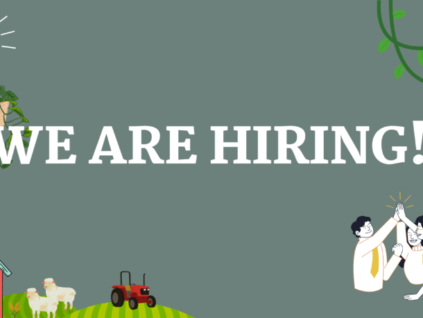 We are hiring